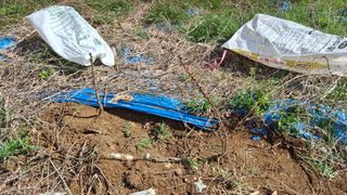 수기님의 기타작물 · 영농일지 작성글 사진