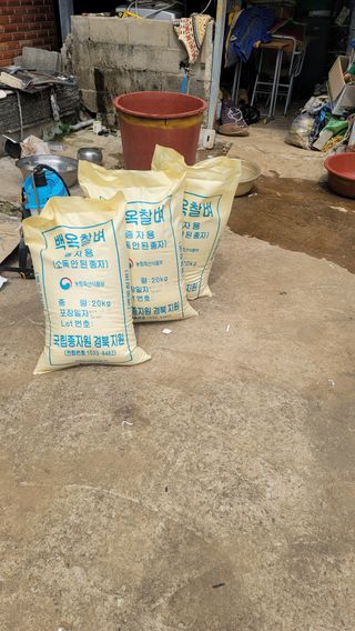 권리를위한투쟁님의 작성글 사진