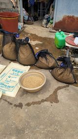 권리를위한투쟁님의 작성글 사진