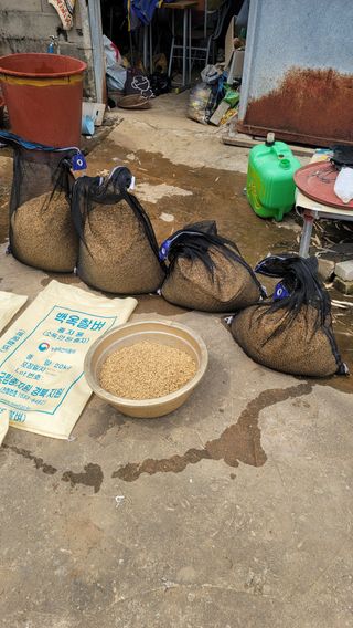 권리를위한투쟁님의 기타작물 · 영농일지 작성글 사진