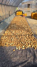 팜모닝 감자·영농일지 게시글 이미지