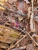 돈디아고(김덕수)님의 작성글 사진