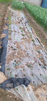 道泉님의 작성글 사진