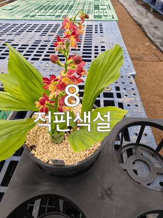 이성규 님의 기타작물 · 영농일지 작성글 사진