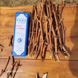 정찬영님의 기타작물 · 영농일지 작성글 사진