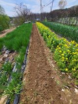 늘찬님의 작성글 사진