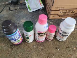 매실8693님의 사과 · 영농일지 작성글 사진