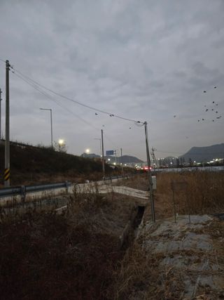 정영석님의 복숭아 · 영농일지 작성글 사진