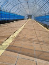 팜모닝 벼·영농일지 게시글 이미지