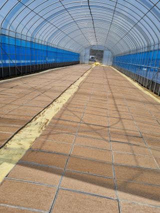 폭포수 아래님의 벼 · 영농일지 작성글 사진