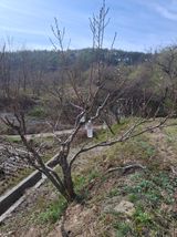 이병찬님의 작성글 사진