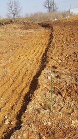 심상화님의 작성글 사진