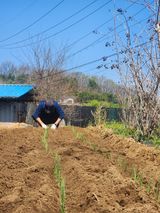 팜모닝 파·영농일지 게시글 이미지