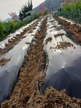 신 난다님의 작성글 사진