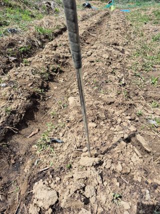 엉뚱님의 기타작물 · 영농일지 작성글 사진