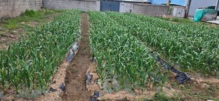 道泉님의 작성글 사진