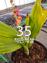 이성규 님의 작성글 사진