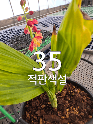 이성규 님의 기타작물 · 영농일지 작성글 사진