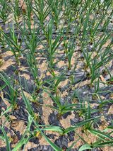 임재현님의 작성글 사진