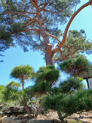 인생은 소풍처럼~님의 기타작물 · 영농일지 작성글 사진