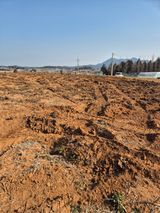 김종옥님의 작성글 사진