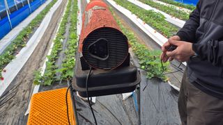 최수안님의 기타작물 · 영농일지 작성글 사진