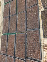 김연숙님의 작성글 사진