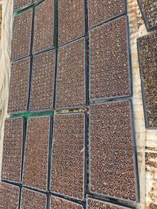 김연숙님의 기타작물 · 영농일지 작성글 사진