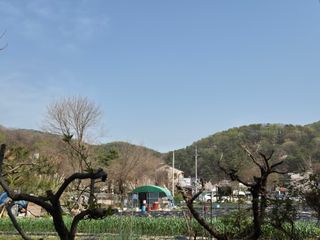 이경옥님의 기타작물 · 영농일지 작성글 사진