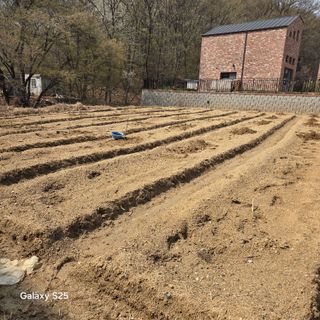 만대산후손님의 기타작물 · 영농일지 작성글 사진