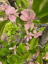 김영순님의 작성글 사진