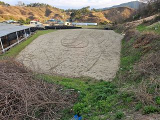 정우진님의 감 · 영농일지 작성글 사진