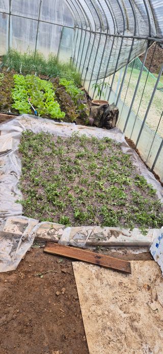 매실21434님의 기타작물 · 영농일지 작성글 사진