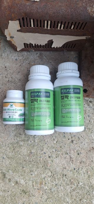 박수천님의 기타작물 · 영농일지 작성글 사진