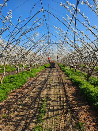 조영민님의 작성글 사진