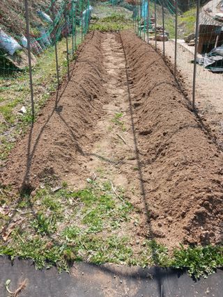 소율이네농장님의 작성글 사진