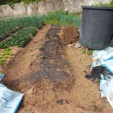 김건우님의 작성글 사진