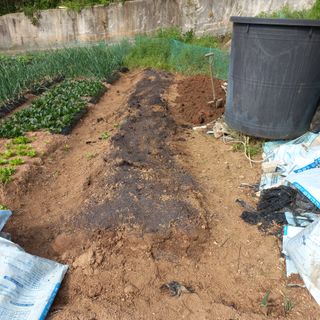 김건우님의 감자 · 영농일지 작성글 사진