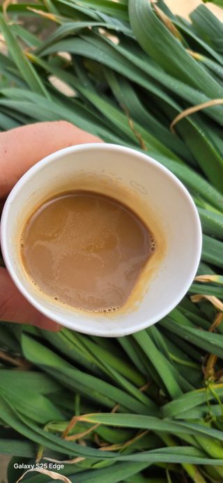 경주농장님의 파 · 영농일지 작성글 사진