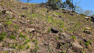 염봉섭님의 기타작물 · 영농일지 작성글 사진