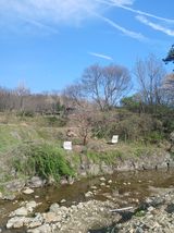 팜모닝 기타작물·영농일지 게시글 이미지