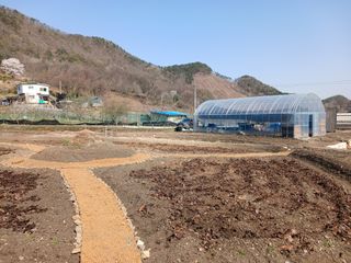 김홍중님의 두릅 · 영농일지 작성글 사진