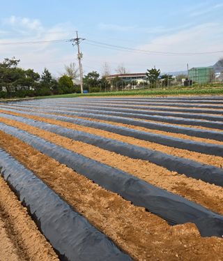 최종태님의 기타작물 · 영농일지 작성글 사진