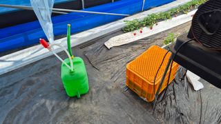 최수안님의 기타작물 · 영농일지 작성글 사진