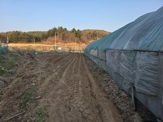 김윤회님의 호박 · 영농일지 작성글 사진