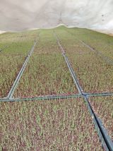 좋은인연원님의 작성글 사진