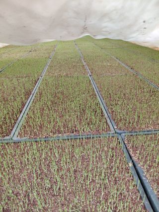 좋은인연원님의 기타작물 · 영농일지 작성글 사진