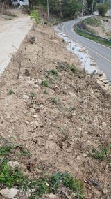 임상근님의 작성글 사진