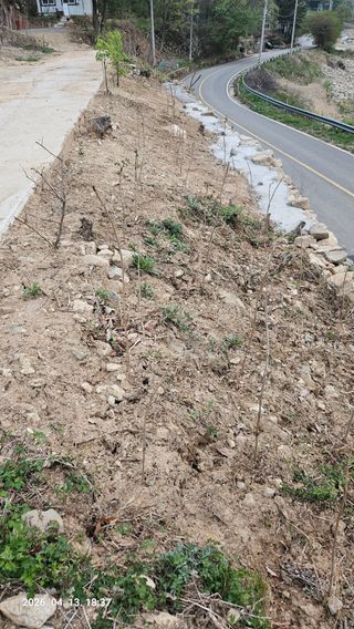 임상근님의 기타작물 · 영농일지 작성글 사진