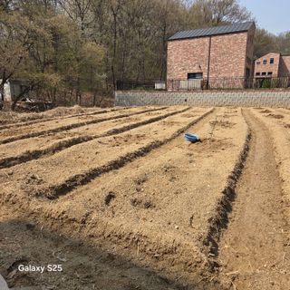 만대산후손님의 기타작물 · 영농일지 작성글 사진